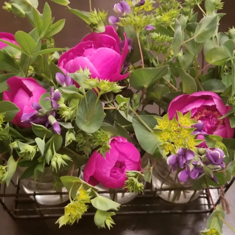 Meet your Posher, Burgh Fashion